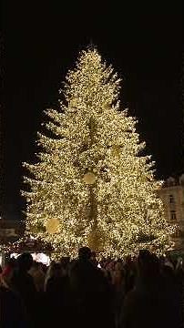 Christmas Tree Lighting in Prague’s Old Town Square | Eva Farná – Vánoce na míru Light Show #prague