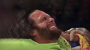 Inside Randy Savage and Jake Roberts' WWE rivalry including shock cobra attack
