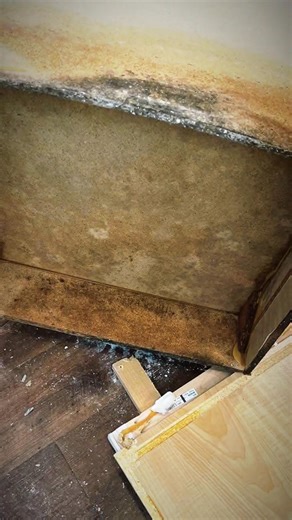 DMS Restoration Services, Inc on Reels