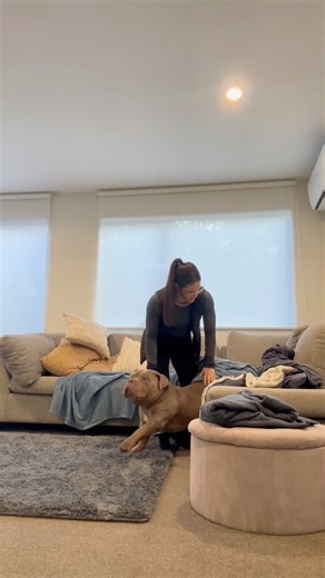 Ooo big stretch! #dog #funnydog #puppy #americanbully #bigstretch | Lulu & Tuktuk