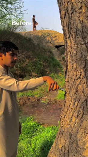 Travel Sounds You Must Experience