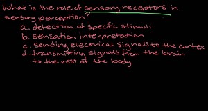 SOLVED:What is the primary function of our sensory receptors?