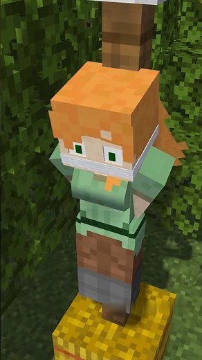 Minecraft Animation - Pillager Kidnapped Alex #shorts #minecraft