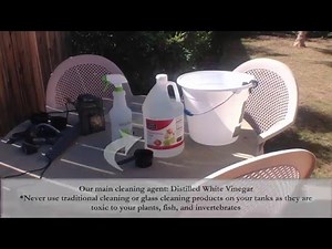 How To Break Down and Clean A Freshwater Aquarium