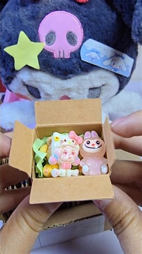cute pompompurin hello kitty labubu box package 🎁 #satisfying #sanrio #funny #shorts #viralvideo