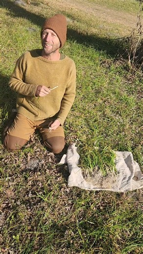 Wild onions hiding in your lawn! Join me on my Florida Foraging and Speaking Tour! Event details at: robingreenfield.org/foragingyear | Robin Greenfield