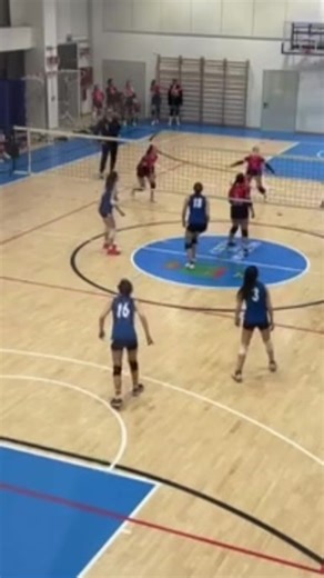 Mastering Volleyball Blocks: Techniques and Tips