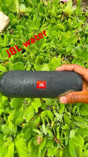 JBL bass test essential 2 testing twro reverse