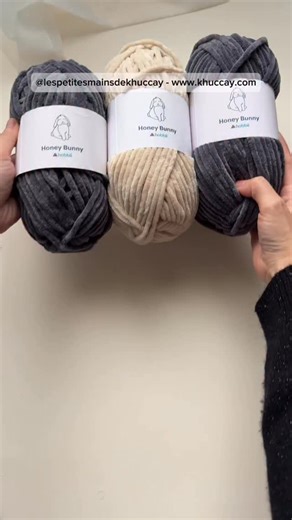 © Khuc Cay 🌱 (Ngọc Anh) on Instagram: "Crochet avec moi 🐺 Tutoriel est disponible en français et anglais sur www.khuccay.com - #lespetitesmainsdekhuccay #khuccay #loup #malaimé #crochet"