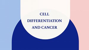 Cell differentiation and cancer