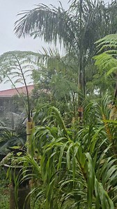 Asmr. | Simply David & Jen