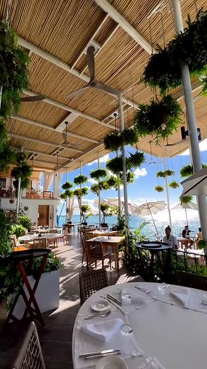 21K views · 651 reactions | The perfect backdrop to your tropical dining experience! Enjoy a luxurious dining experience with stunning ocean views featuring a modern Caribbean menu at QP Bistro! : @Qpbistro #MyBarbados #LoveBarbados #VisitBarbados | Visit Barbados | Facebook