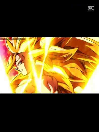 TOOM TOOM tadue!!!!😺