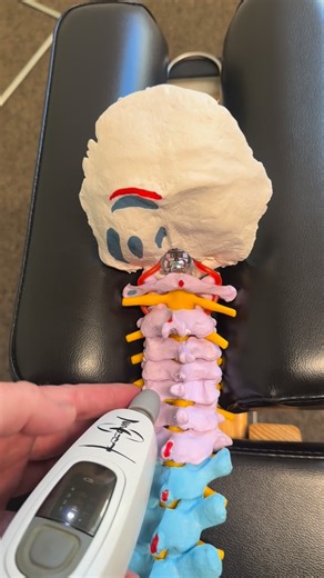 Full Bloom Chiropractic on Instagram: "Let’s talk about the neck! Many people get nervous about having their neck adjusted. The Activator Methods Technique helps to calm those concerns! All adjustments are performed in neutral position. So there’s no rotating, twisting or popping. Just a very precise specific adjustment to realign the vertebra! One of the most common conditions we see when the neck is out of alignment are headaches and migraines. Did you know that humans AND giraffes both have 7