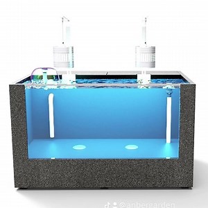 1.4K views · 3 comments | HỒ CÁ COMPOSITE ANBER FISH | Anber.vn | Facebook