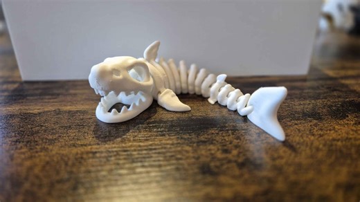 3D Printed Skeleton Fish | Articulated Fish Model - Etsy