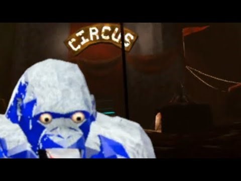 Going to the circus (animal company)