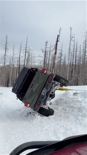 Jeep Gladiator Needed a Nap 😴❄️ #automobile #jeep #adventurewithrover #4x4life