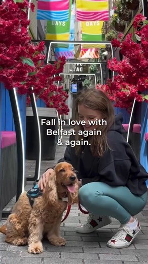 POV: falling in love with Belfast over and over again 😍 ❤️ 🏠 #VisitBelfast | Visit Belfast