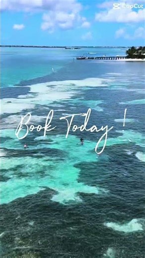 Book Your Next Adventure! Mycoastaladventure.com #florida #fishing #flkeys #travel #adventure