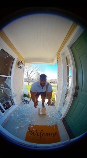 Mailman BUST front windows OUT | How is he still employed