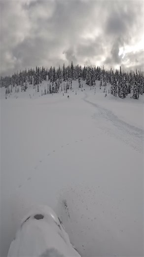 The deep powder saga continues… #thatskidoofeeling #bcseries #gvpowersports #bcseries #marlondecks #tempestoptics #deep #days | Theo Epp