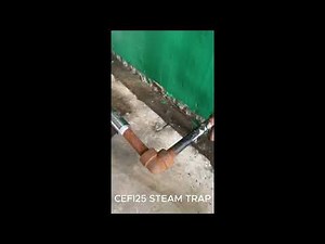 CEFI 25 STEAM TRAP