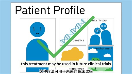 PDX模型 | 双语字幕