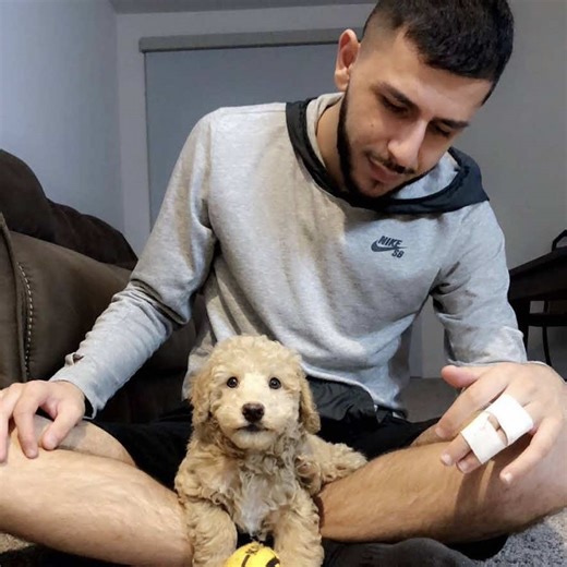 What Happened to Brawadis' Dog Booker?