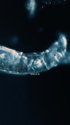 BLINDFOLD on Instagram: "“Toirog” Coming out on Thursday with 01.01"