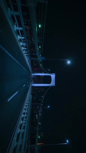 Tokyo Highway Driving Experience: A Day in Japan