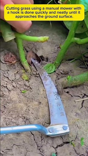 A Quick Way to Cut Grass Using Simple Tools—The Results Are Super Neat!