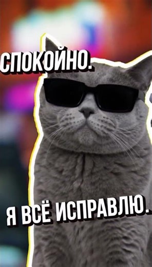 Чип тюнинг - этот мурчащий момент!