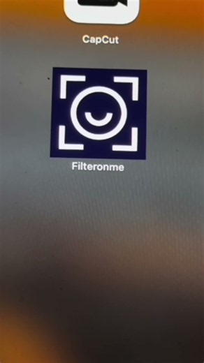 your wfh secret's safe with me 🫣 #filteronme #filter #webcamfilter #wfh #wfhtips