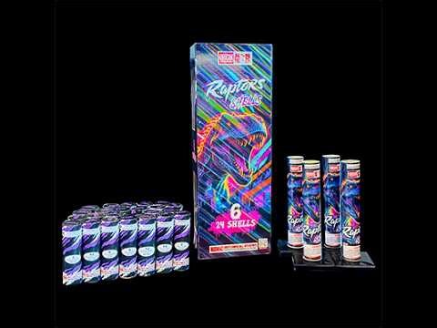 Raptors Shells (BD26128)