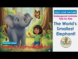 The World's Smallest Elephant! 🐘 | Borneo Pygmy Elephant Story for Kids | Endangered Animals