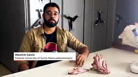 Researchers from the Federal University of Santa Maria (UFSM) in Brazil have identified a new 230-million-year-old reptile species with a parrot-like beak, discovered in the southern state of Rio Grande do Sul