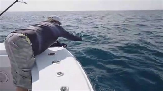 The.Fish.Guyz.S05E02