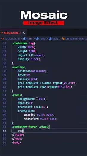 Mosaic Image Effect using HTML CSS | Complete Web Designing Course #shorts