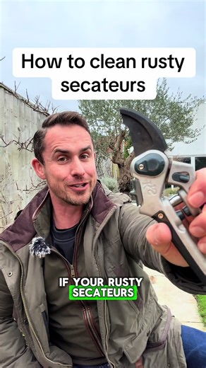 How to clean rusty secateurs #gardening