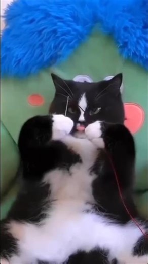 mengo baksa funny reels #funny #viral #youtubeshorts #shorts #shortvideo