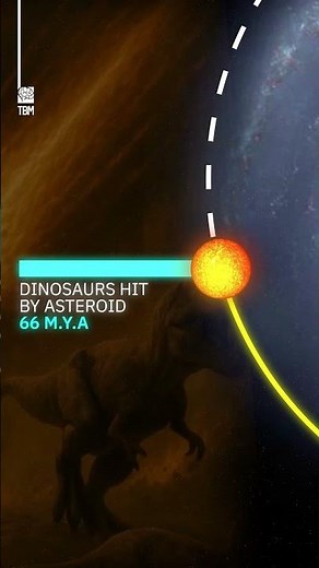 Earth during one Galactic Year