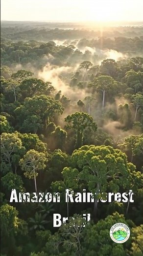 The Lungs of the Earth: Amazon Rainforest