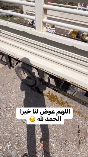 #mybees_dz | My bees