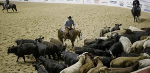 92K views · 920 reactions | We are less than two weeks away from...