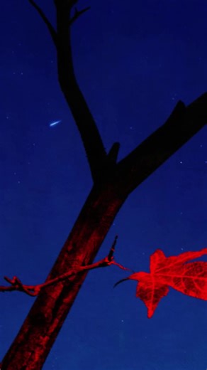 Thu Đợi - Wren Evans: Bản Song Ca Đáng Nghe Nhất