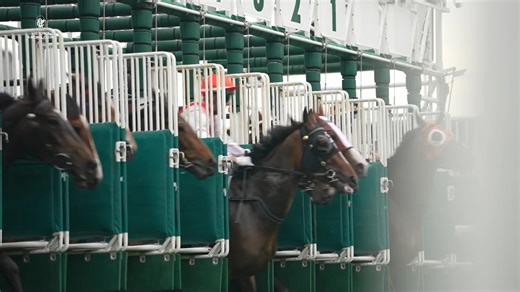 What an incredible week at the 2025 Melbourne Cup Carnival 🏆 Over 286,000 guests joined us at Flemington to celebrate world-class racing, fashion, food and entertainment. Thank you to our members, partners, teams, and every racegoer who made this week so memorable. The Melbourne Cup Carnival continues to unite people from across Australia and around the world and 2025 was one for the history books. #MelbCupCarnival | Flemington Racecourse and Victoria Racing Club