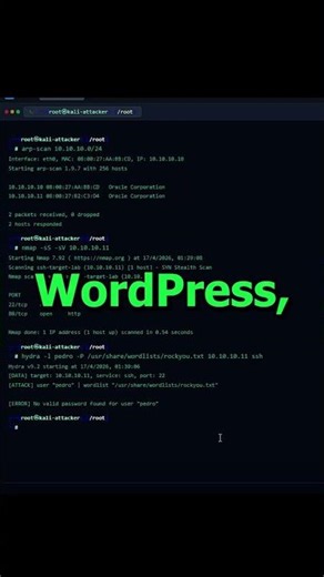 ¡Hydra te hackea en segundos! 😱 | La herramienta que rompe TODO