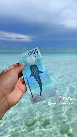 Hasta los billetes aquí son especiales 🩵🐢🐋🦈 #maldives | Costa Rica