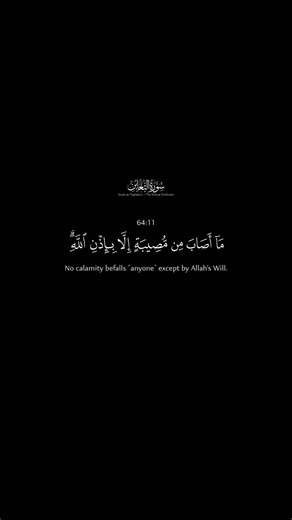 Surah al-Taghabun / سورة التغابن